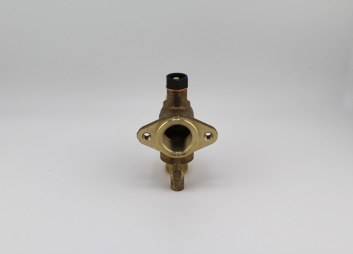 Steam Cock Body with AV 2019 10701621